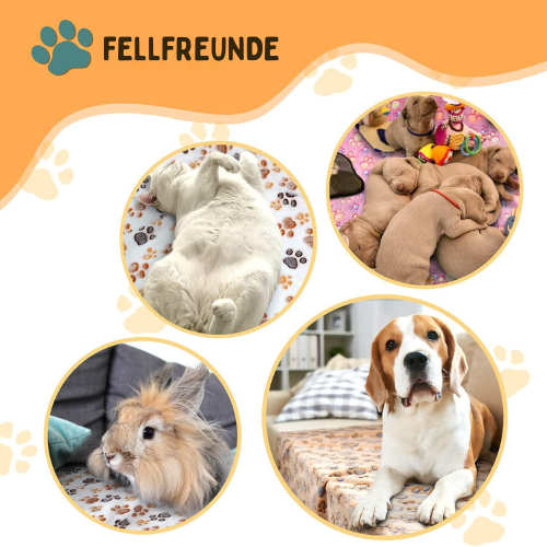 Beruhigende Hundedecke