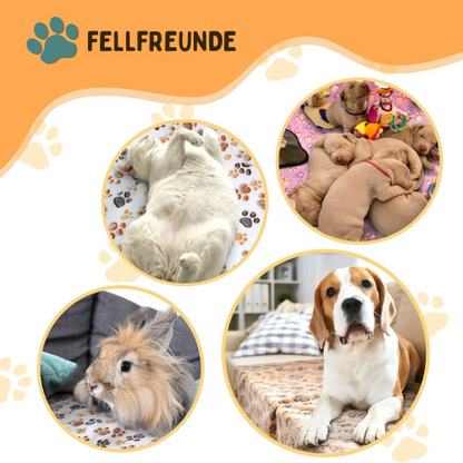 Beruhigende Hundedecke