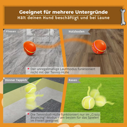 Interaktiver Flitzball