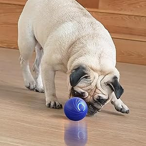 Interaktiver Flitzball